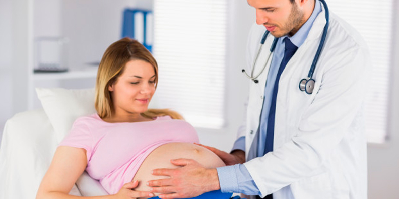 Carência para maternidade no plano amil fácil 50 GRU