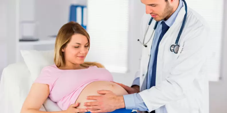 Carência para maternidade no plano amil fácil 50 GRU