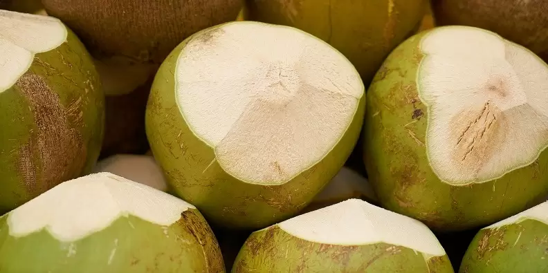 benefícios da água de coco.