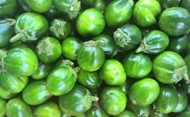 Benefícios do Jiló