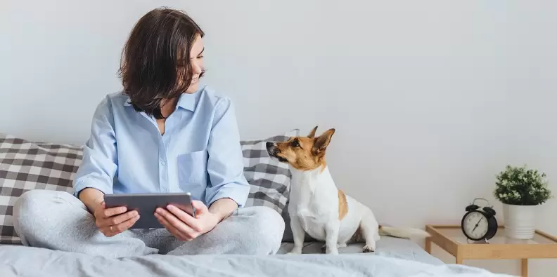 Beautiful brunette female in pyjamas sits on bed in bedroom with her jack russell terrier dog, holds tablet computer, enjoys morning weekend, watches video online, has good relationships with pet Imagem de uma mulher segurando um tablet e seu cachorro ao lado