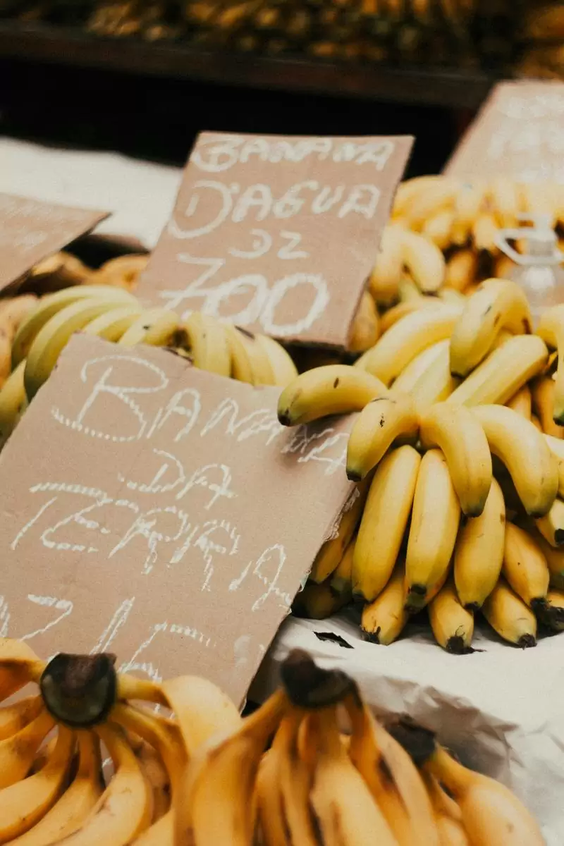 Ilustração dos principais nutrientes presentes no mocotó e suas funções