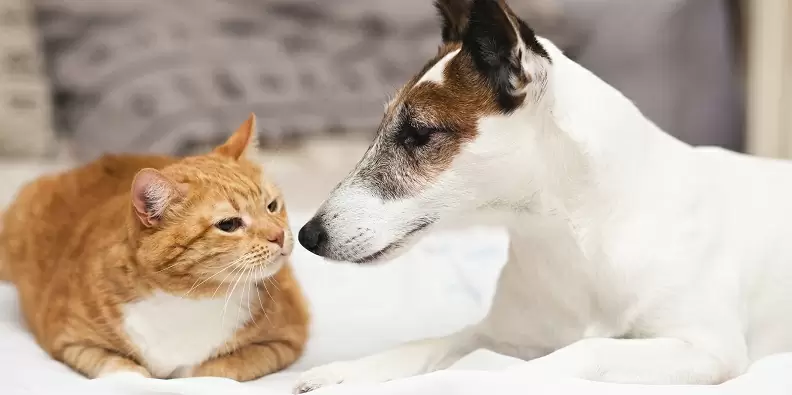 Por que contratar os planos de saúde Nofaro?